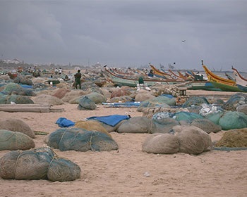 India Seafood park proposed to meet demands