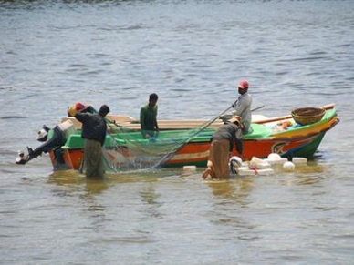 Ban Lifted, Fish Prices to Normalise	
