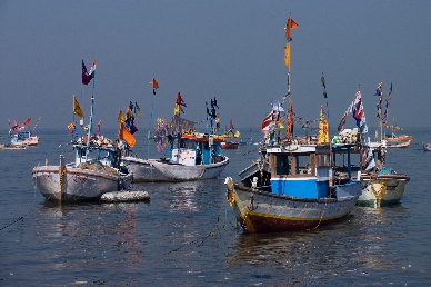 India Natural fishing grounds continue shrinking