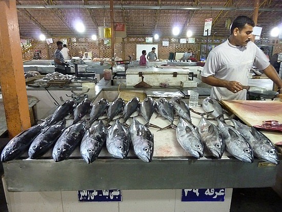 Iran’s seafood exports tipped to hit $250 million