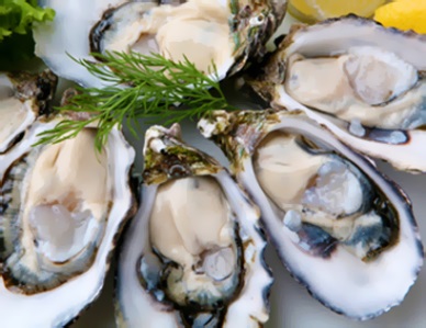 Global investment in Irish seafood Sector to deliver €1 billion sales, 1,200 jobs by 2017