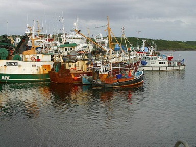 Ireland EUR 148 million EU funds secured for seafood industry