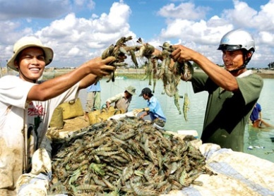 Vietnam seafood sector expects to gain from Japans stimulus policy