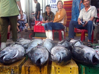 Khanh Hoa’s seafood export turnover soars