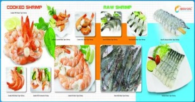 Khanh Sung Seafood to export shrimp to the EU