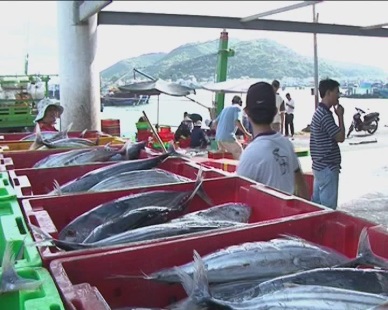 Khanh Hoa Fish production hit 72,380 MT