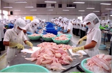 Kien Giang Huge investment in fishery to promote export