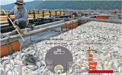 South Korea Calls for Solution to Red Tides