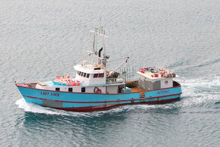 US Longliners Can Land 76 MT Of Bluefin