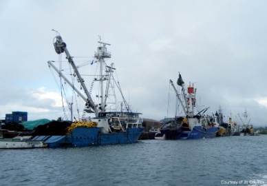 EU And Mauritius Conclude Tuna Fishing Agreement After 6 Years