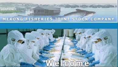 Mekongfish VND114 billion of net turnover in Q.I2014