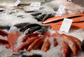 Mexico Policy to Increase Consumption of Fish and Shellfish