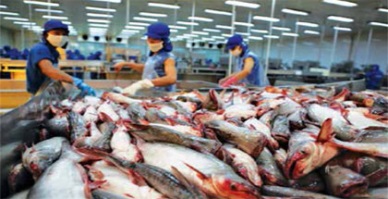 New regulation on pangasius imports into Mexico