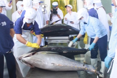 Binh Dinh urges Japanese to build canneries