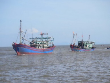 Thanh Hoa targets sustainable offshore fishing development