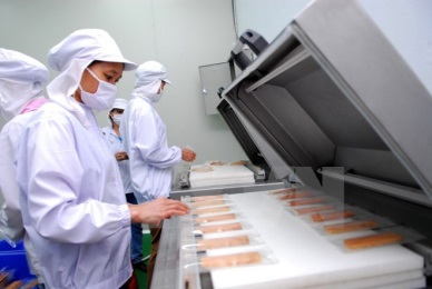 Thai Binh attracts many investment projects in agriculture