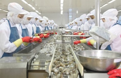 Minh Phu Seafood Corp Profit after tax hit VND41.4 billion