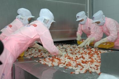 Minh Phu Seafood 9-fold rise in profit in Q.I2014