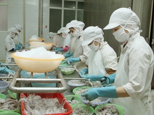 Vietnam mollusk exports stabilized in the first half of 2012