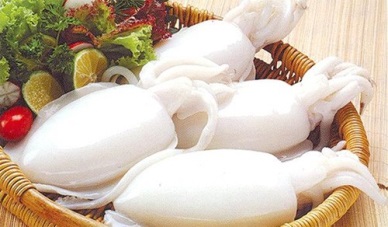 Cephalopod exports in 2013 Down 13 percent 