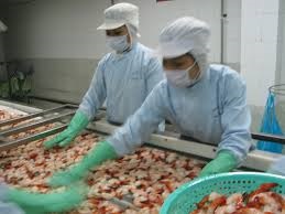 Nam Can District Seafood exports up 38%