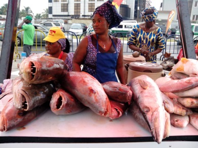 Nigeria Structured embargo on fish import confirmed