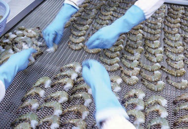 Vietnam Fish processors face raw material shortfall