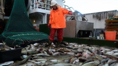 Norway seafood exports surpass record