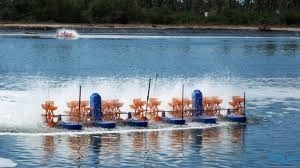 Hai Phong Fisheries production estimated at 11.796 MT in Feb 2017