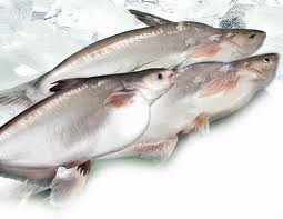 Weak Real leading to slowdown pangasius consumption in Brazil

