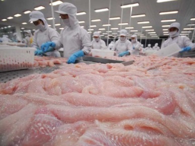 Pangasius exports to the UK increase by 43%