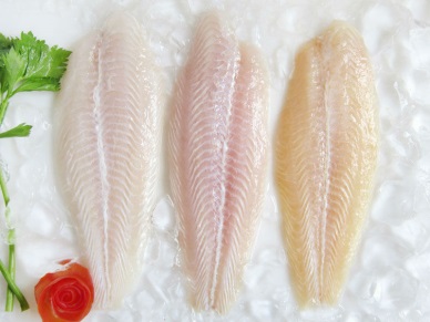 Up in pangasius exports to Thailand