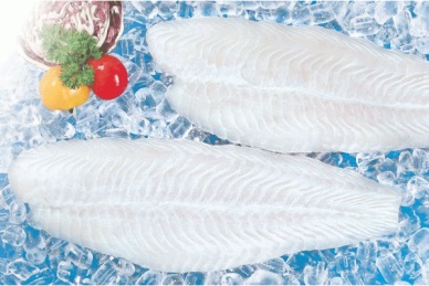 Vinh Long More pangasius farms are certified 