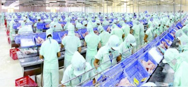 SUPA Study-Chapter I Sustainable Pangasius market potential in Europe