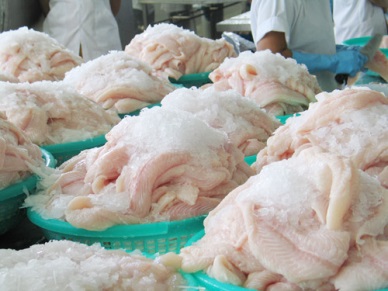 Vietnam pangasius industry hope for a new decree