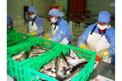 Peru targets China for value-added export growth