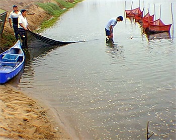 Significant aquaculture export growth forecast