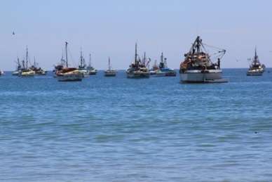 Perus Fishing Sector Decreased in January