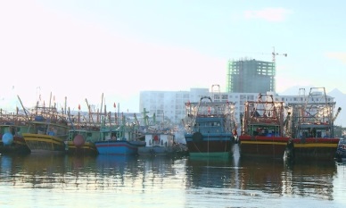 Fisheries Law (amended) Vietnams commitments on IUU have been incorporated into the law