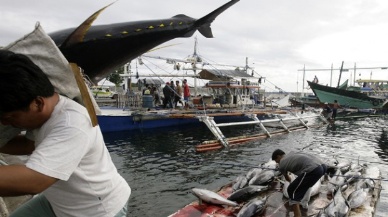 Philippines Sees Brighter Prospects For Tuna Sector