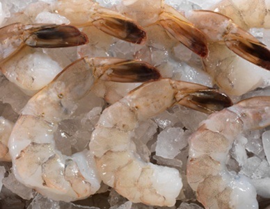 Philippines shrimp ban paying off as exports hit $7.6 million a month