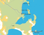 China  Korea the new emerging tuna markets