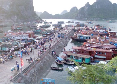 Quang Ninh 12,435 MT of fishery production in February