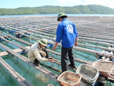 Quang Ninh Seafood production hits 11,600 MT