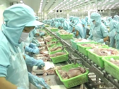 QI2017 Up 13.8% in Vietnam pangasius sales to Saudi Arabia 