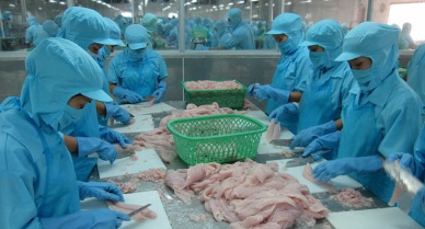 Vietnam’s seafood exports witness a recovery