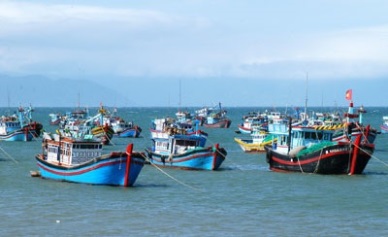 Soc Trang to tap its potential marine economy