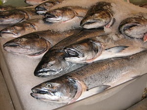 Russias leading processors urge the government not to ban fish imports from Norway
