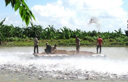 Vietnam aquaculture and capture production increased in Jan-May 2012