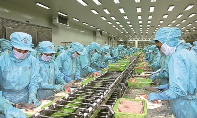 IDI to expand new markets 